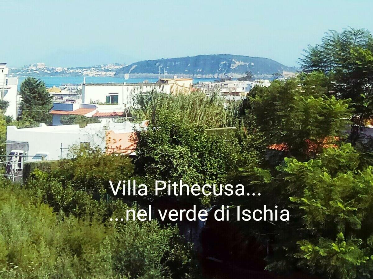 Villa Pithecusa イスキア島 エクステリア 写真